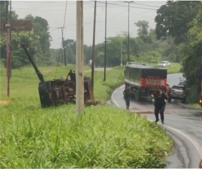 VÍDEO: Vigilantes são atacados por enxame de abelhas após colmeia cair em cima de carro-forte no MA