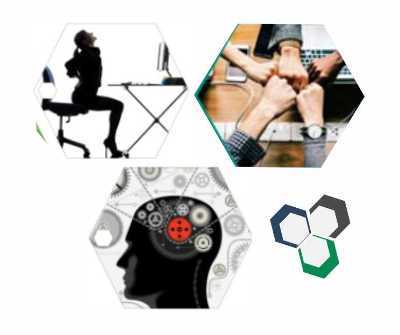 Ergonomia Física, Cognitiva e Organizacional