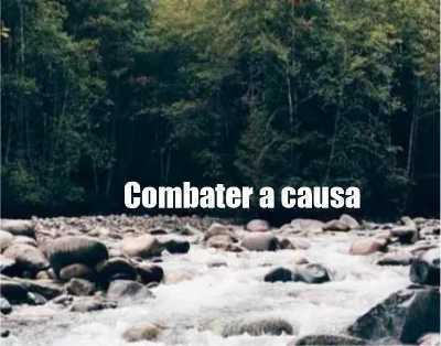 MENSAGEM DA SEMANA - Combater a causa