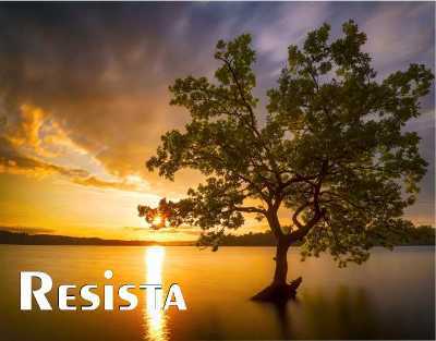 MENSAGEM DA SEMANA: RESISTA