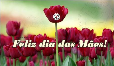 FELIZ DIAS DAS MÃES!