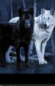 MENSAGEM DA SEMANA - A lenda cherokee dos dois lobos e das nossas forças interiores